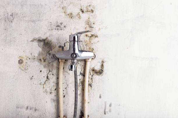 Water Damage Restoration in Brent, AL