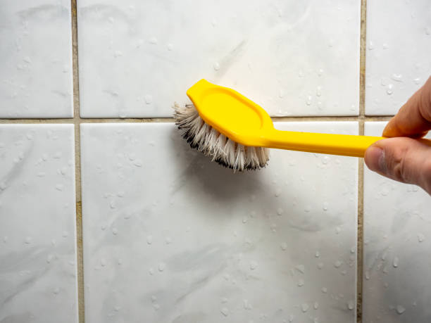 Best Mold Remediation  in Brent, AL