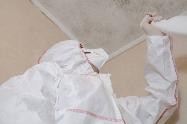Best Office Mold Removal Services  in Brent, AL